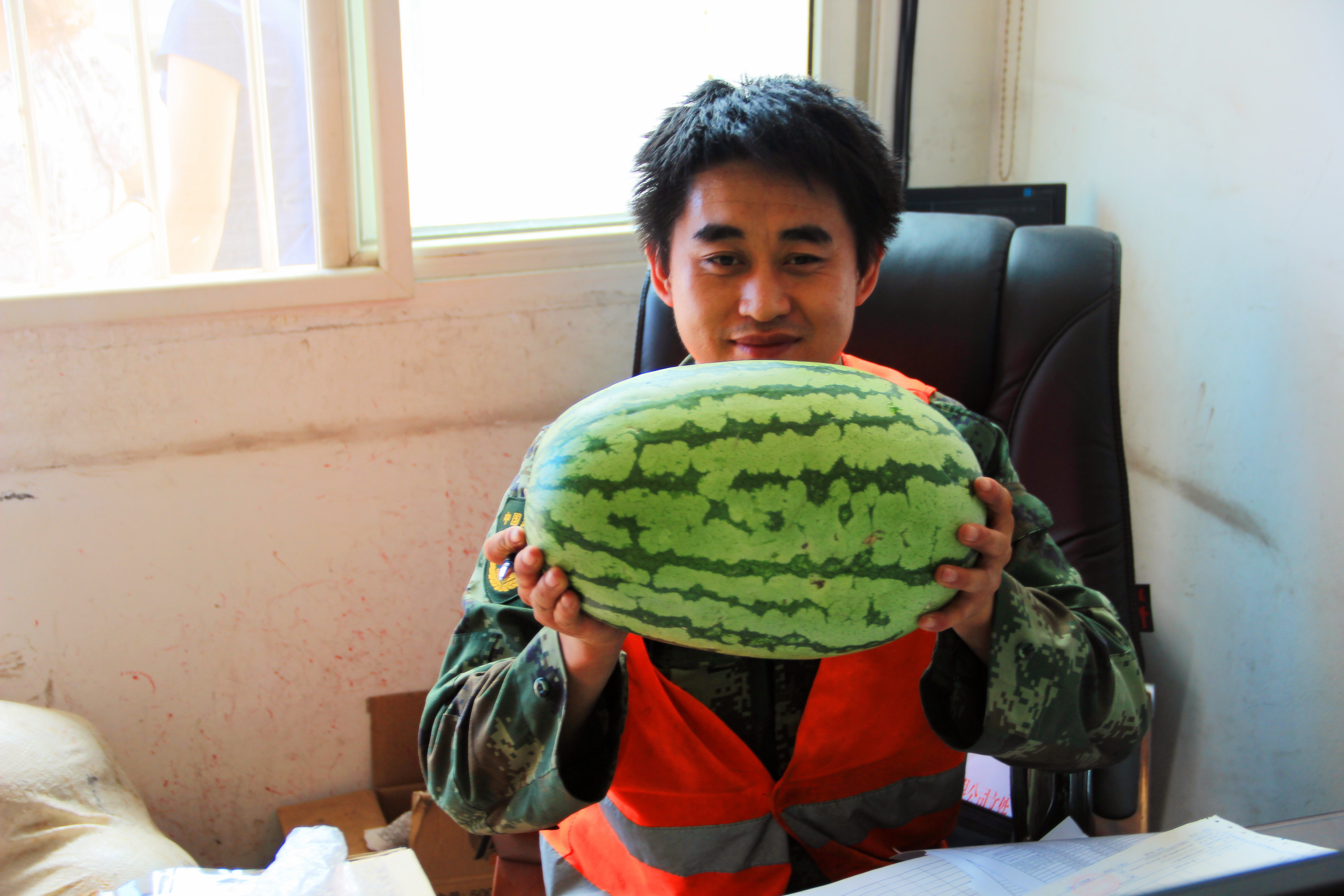 ��ϵ�T���͡���������