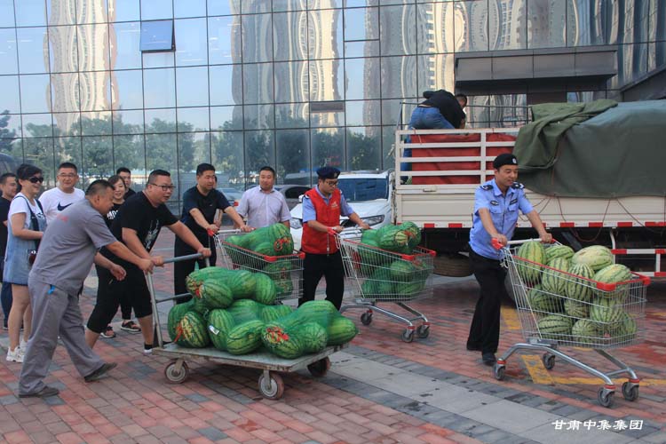 �T���L��