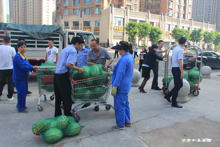 �T���L��